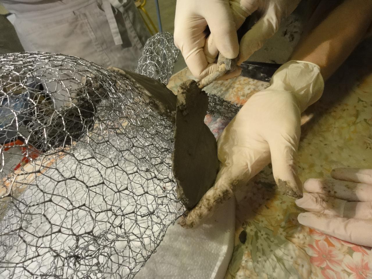 Tortue de Danièle Pacotte